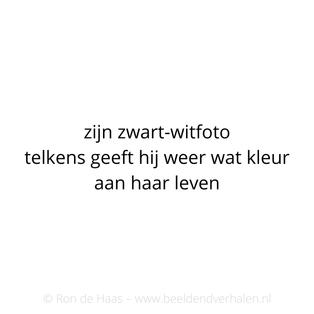 20230408-schrijven-haiku-foto.png